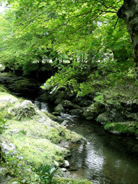 b0035734_236244.jpg
