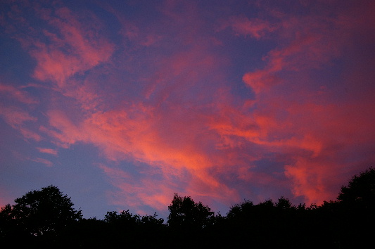 c0105338_21584772.jpg