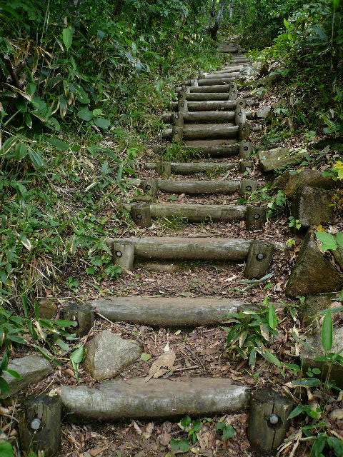 c0110550_02871.jpg
