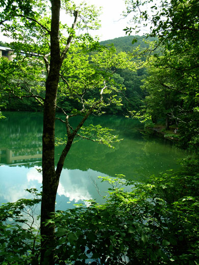 夏休みもそろそろ終わりです。_e0084756_15402692.jpg