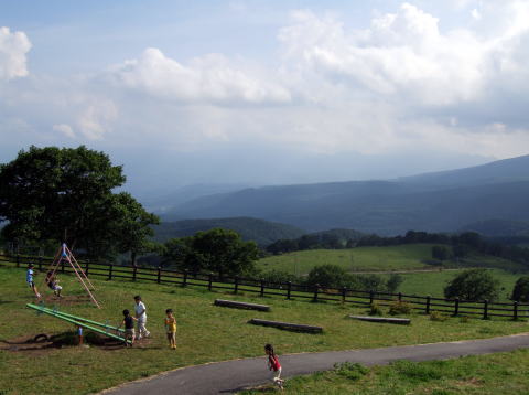 e0088260_011311.jpg