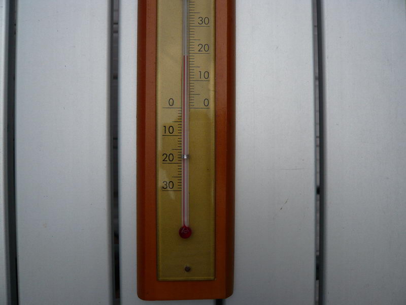 c0084268_1125206.jpg