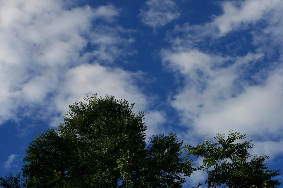 c0084268_11404017.jpg
