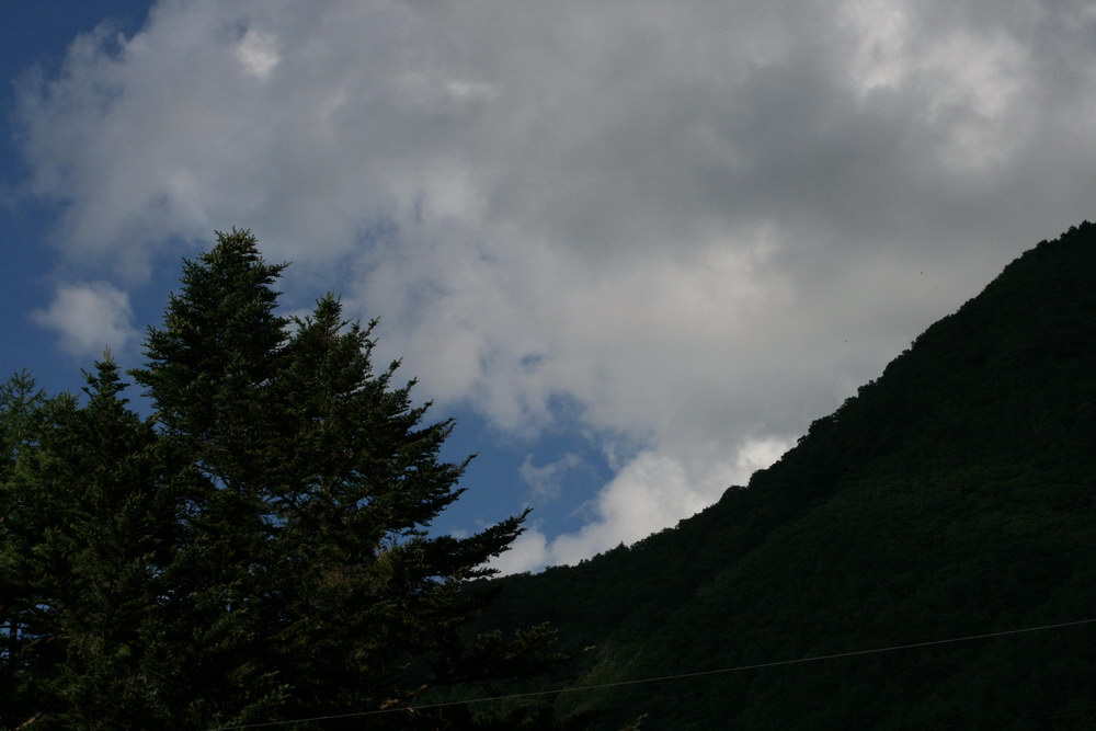 c0084268_13261514.jpg