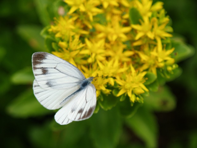 a0025576_2030749.jpg