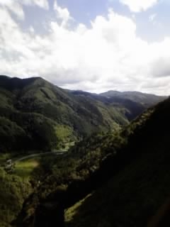 f0144979_2313920.jpg