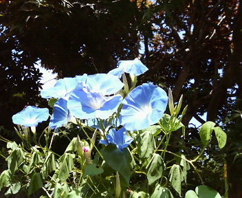 f0018790_00173.jpg