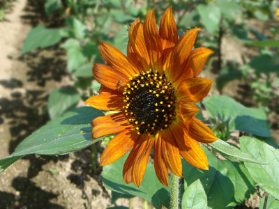 f0146493_9182434.jpg