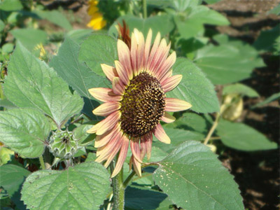 f0146493_91913.jpg