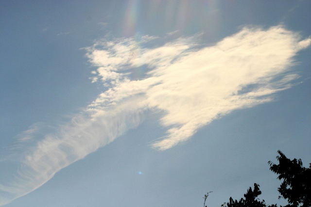 d0010900_9557.jpg