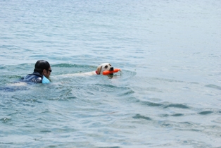 d0091700_23545297.jpg