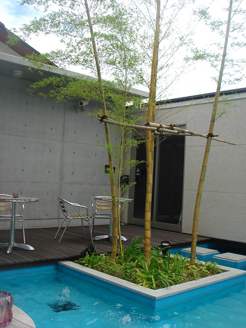 f0077708_20154485.jpg