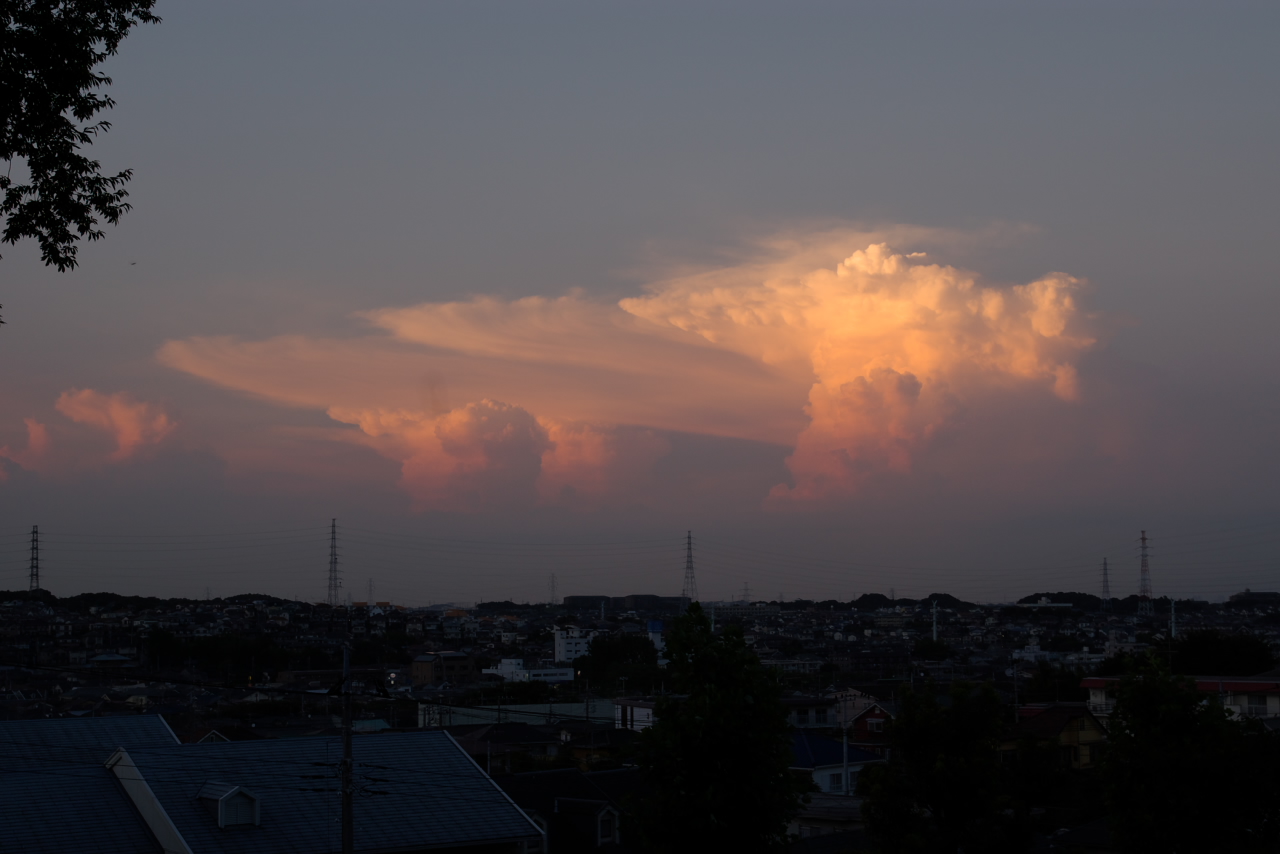 夏雲_d0092109_2124286.jpg