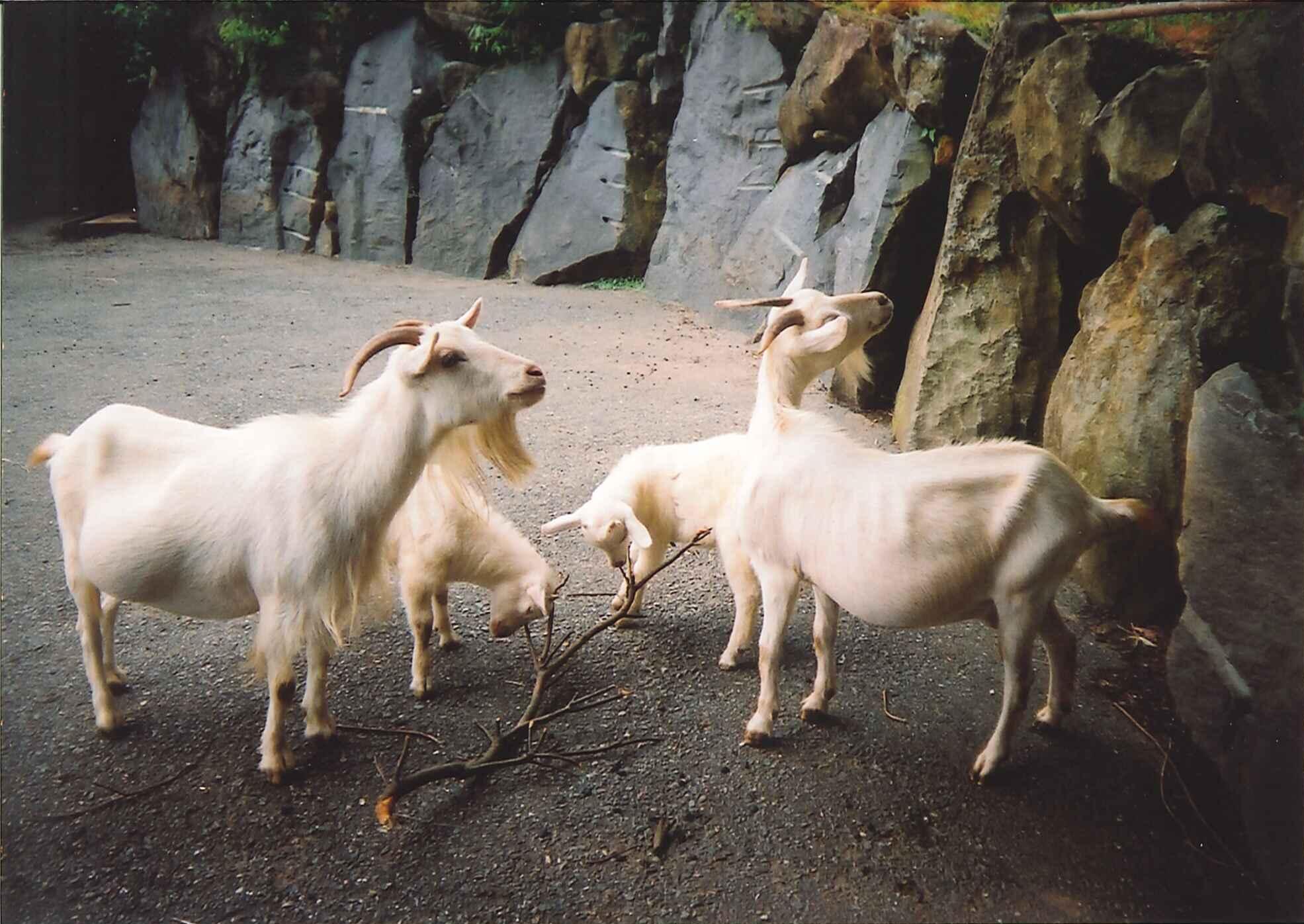 d0116009_7254451.jpg