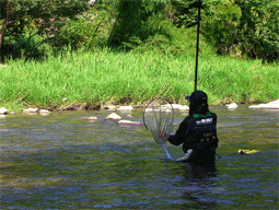 a0056140_125556.gif