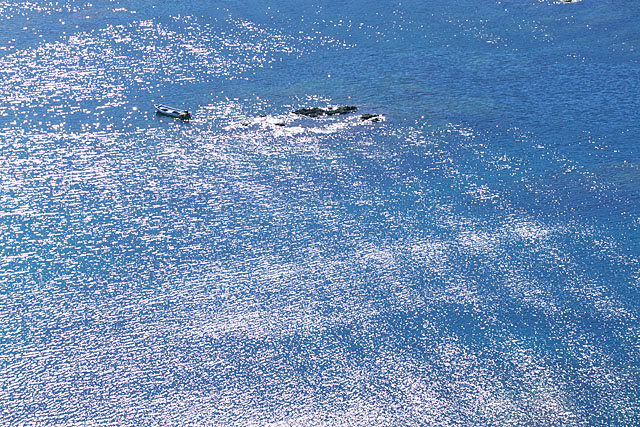 c0067040_21341644.jpg
