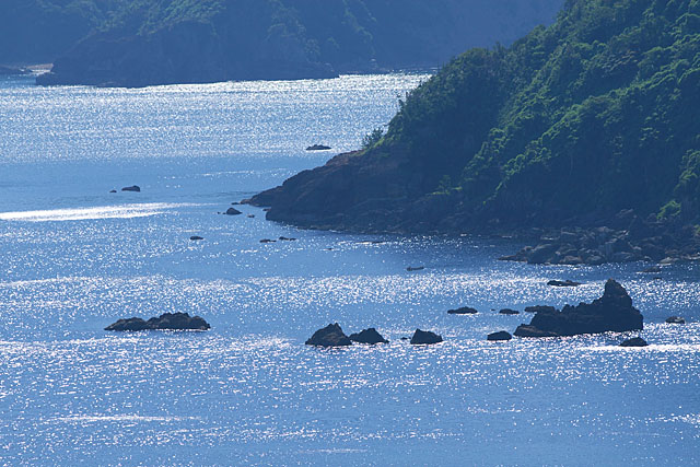 c0067040_21343351.jpg