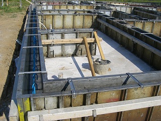 b0082242_17343579.jpg