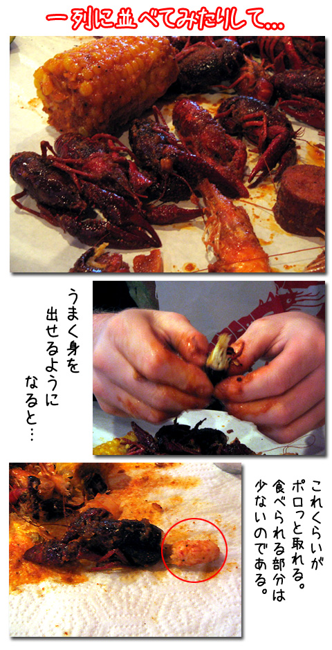 ザリガニ食べて日は暮れて A Little Something To Say From California
