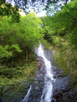 e0020945_9324077.jpg