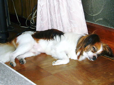 e0100046_227675.jpg