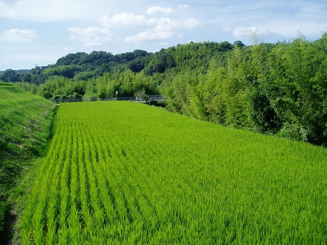 ほっとする_c0107149_1112173.jpg