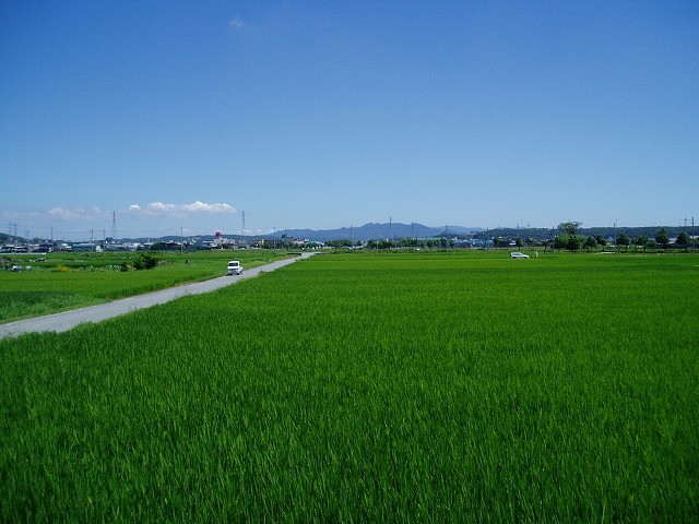 ほっとする_c0107149_1122694.jpg