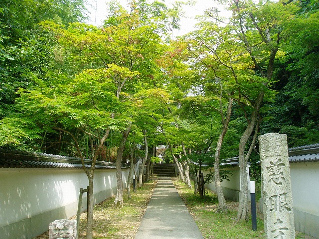ほっとする_c0107149_1271271.jpg
