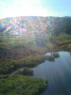 d0045850_9161910.jpg