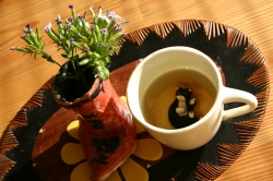 あつくて。。。_d0065558_16111712.jpg