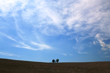 2007 夏、北海道。_e0066369_16184741.jpg