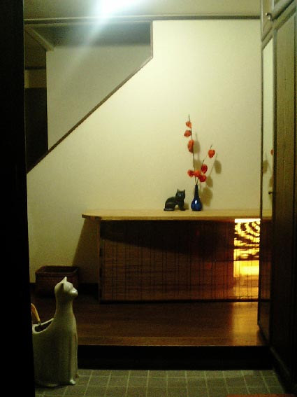 猫トイレ_b0019674_123510.jpg