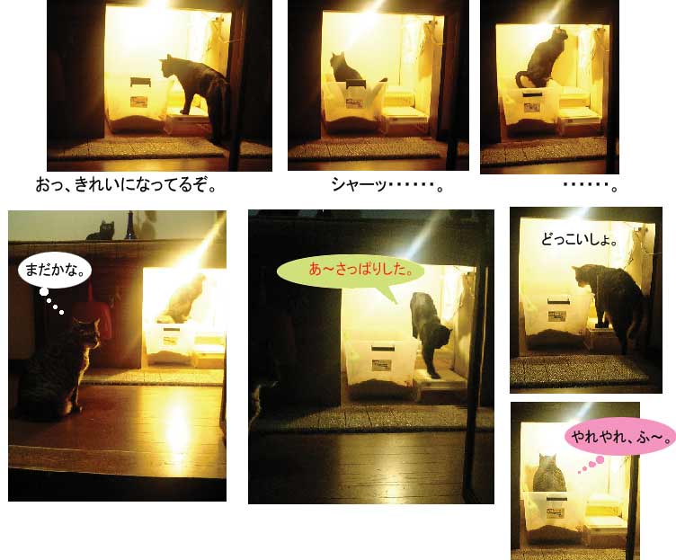 猫トイレ_b0019674_143458.jpg