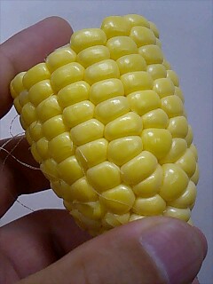 トウモロコシ_a0040876_2212833.jpg