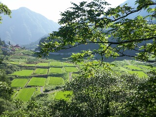 鬼無里村の田んぼ_f0117498_11263986.jpg