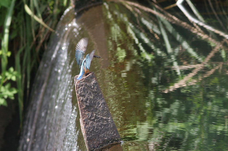f0095702_21592513.jpg