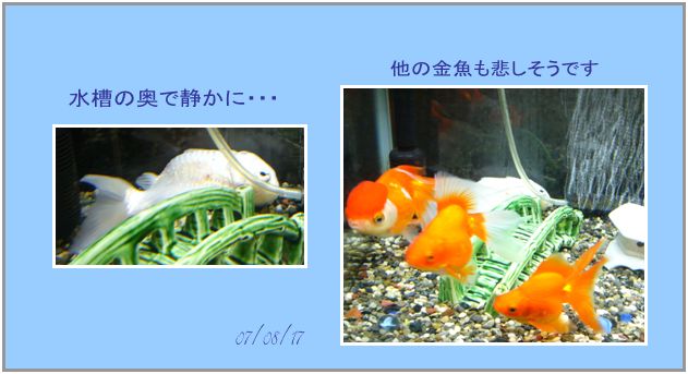 嫌な予感があたりました。_c0051105_6525054.jpg