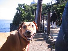 伊豆旅行 (その1)_d0092605_2271222.jpg