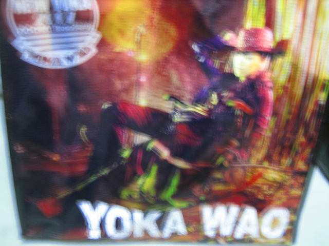 ♪熱い夏の開幕★ＮＥＷ　ＹＯＫＡ！_d0004210_21595049.jpg