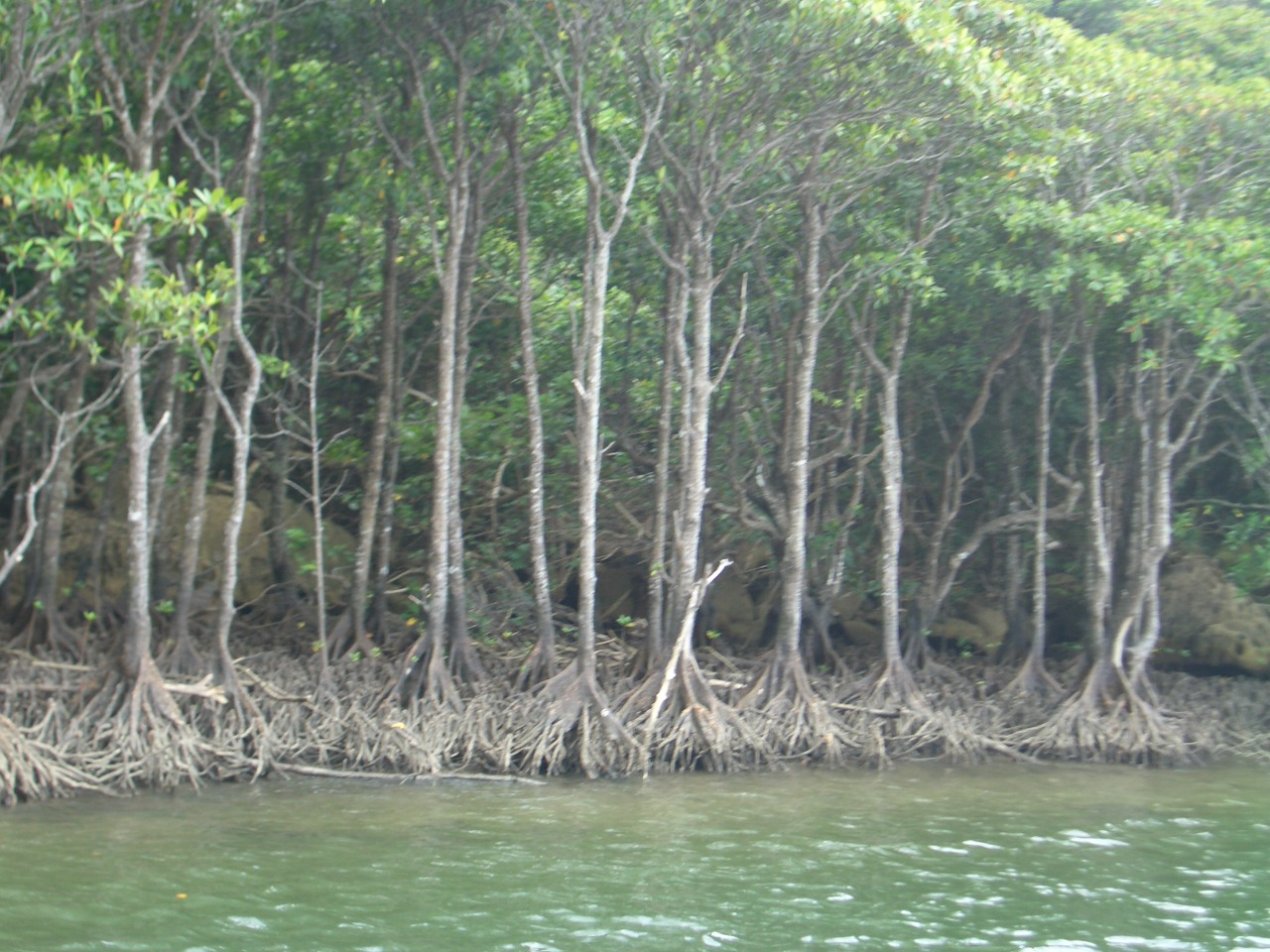 沖縄旅行 NO,1思考の変化_e0097212_0545151.jpg