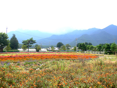 b0080027_2027859.jpg