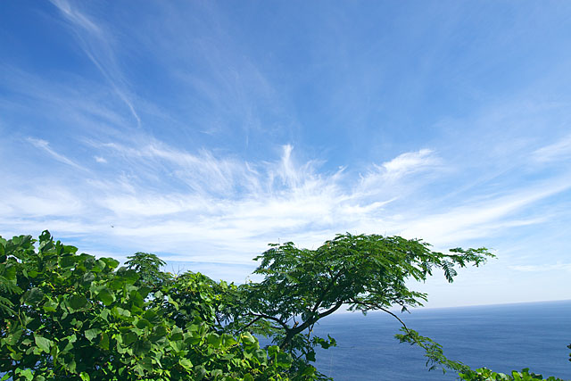 c0067040_21361864.jpg