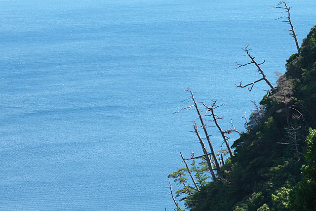 c0067040_21374397.jpg
