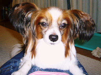 e0100046_21413989.jpg