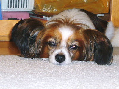 e0100046_21465750.jpg