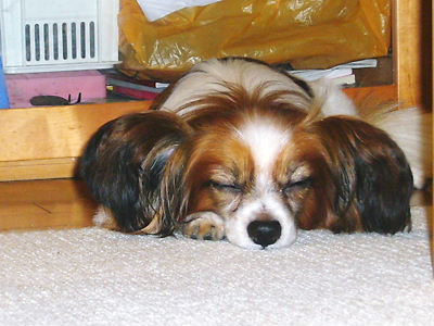 e0100046_21471529.jpg