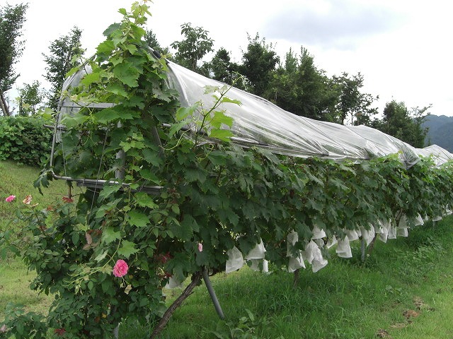 八色の公園_a0084753_15441845.jpg
