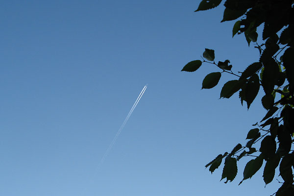 飛行機雲です_f0007956_959239.jpg