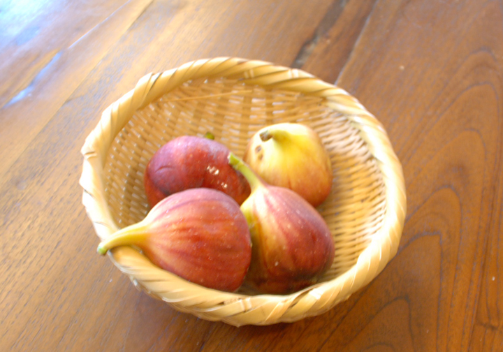 f0016868_22293.jpg