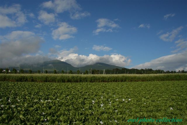 ＃５５２　　８月１８日　　・・・　信州菅平高原の風景　・・・_b0074469_21282793.jpg